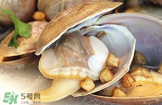 蜆子是蛤蜊嗎？蜆子和文蛤怎樣區(qū)別