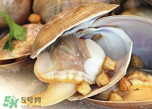 蒸蜆子多長時間？黃蜆子蒸多久能熟？