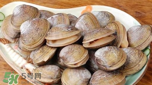 蜆子是蛤蜊嗎？蜆子和文蛤怎樣區(qū)別