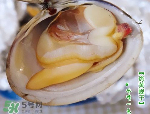 蜆子什么樣的是活的？蜆子開(kāi)口是死還是活