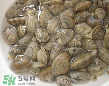 蜆子死了還能吃嗎？蜆子死了多久不能吃