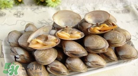 蜆子是寒性的嗎？蜆子什么人不能吃
