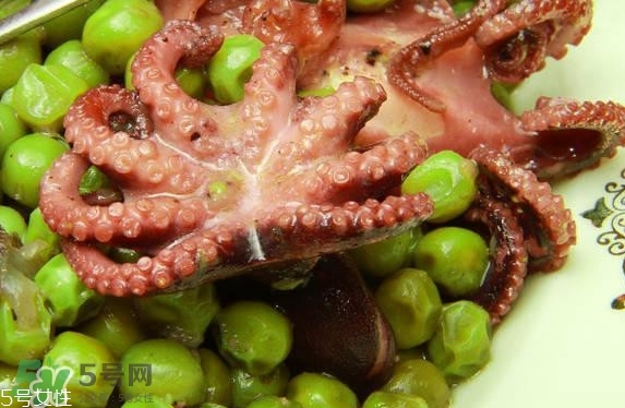 八爪魚(yú)多少錢一斤？章魚(yú)多少錢一斤