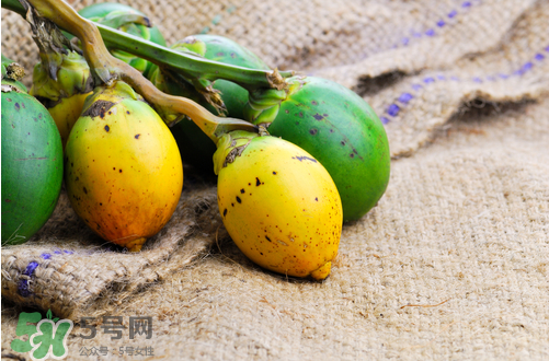 檳榔什么味道？正宗的檳榔是什么味道？
