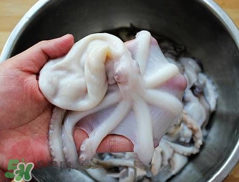 八帶魚怎么洗？八爪魚怎么處理干凈