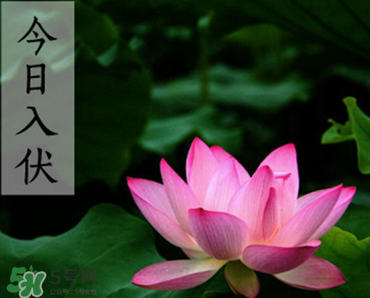 2017年頭伏是幾月幾號(hào)？2017年入伏第一天是幾月幾號(hào)？