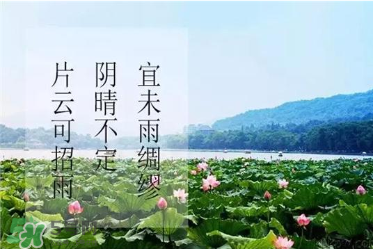 2017年幾月幾號(hào)入伏？入伏是幾月幾號(hào)2017？