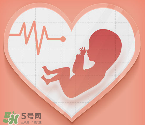 胎心儀可以天天用嗎？胎心儀的使用頻率