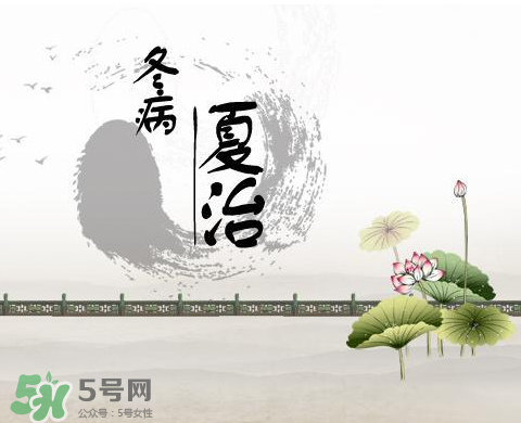2017年三伏貼什么時(shí)候貼？2017年三伏貼貼幾天？