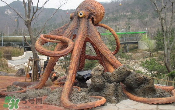 章魚(yú)是烏賊嗎？章魚(yú)與烏賊的區(qū)別