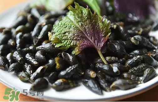 紫蘇是什么植物？紫蘇是發(fā)物嗎？