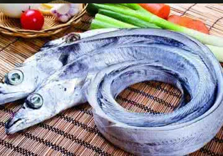 帶魚(yú)為什么都是死的？帶魚(yú)為什么出水就死？