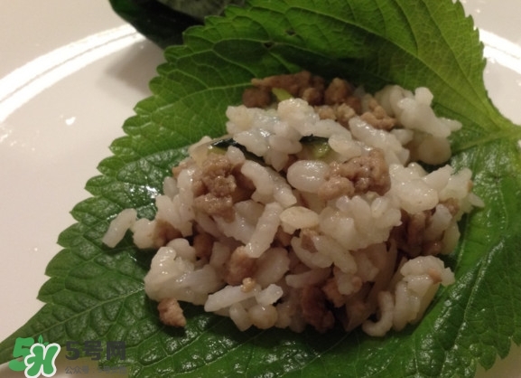 紫蘇和羅勒是一種東西嗎？紫蘇葉對(duì)人體有什么好處