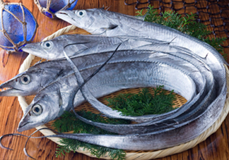 帶魚(yú)是咸的嗎？帶魚(yú)是無(wú)鱗魚(yú)嗎