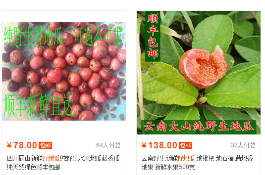 野地瓜哪里可以買到？哪個(gè)地方有種植野地瓜的