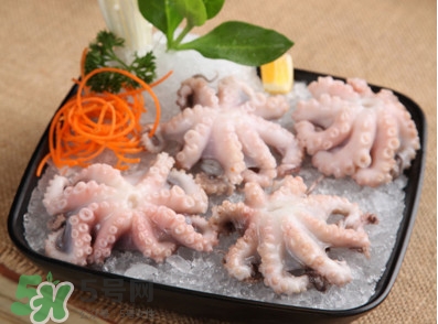 八爪魚可以生吃嗎？八爪魚生吃有寄生蟲嗎