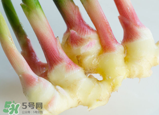 7月份可以種生姜嗎？生姜幾月份種植？
