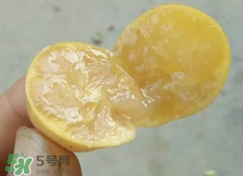 黃皮可以吃皮嗎？黃皮果可以帶皮吃嗎
