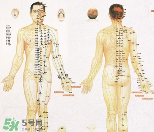 貼三伏貼可以吃西瓜嗎？貼三伏貼吃西瓜有什么害處