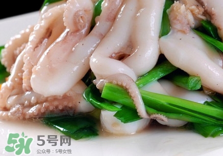 八爪魚(yú)是魷魚(yú)嗎？八爪魚(yú)是章魚(yú)嗎