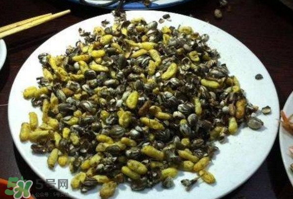 洋辣子是什么？洋辣子能吃嗎？