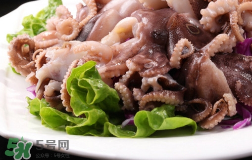 八爪魚(yú)是魷魚(yú)嗎？八爪魚(yú)是章魚(yú)嗎