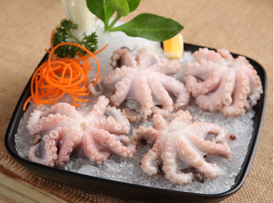 八爪魚是海鮮嗎？八爪魚是發(fā)物嗎
