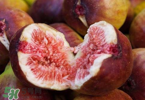 無花果能治痔瘡嗎？無花果怎樣吃治痔瘡？