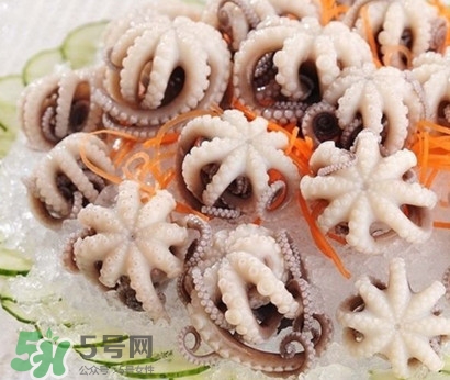 八爪魚為什么有大米？八爪魚為什么有墨汁
