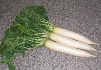 頭伏蘿卜二伏菜是什么意思？頭伏種什么菜？