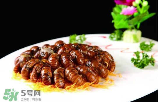 知了猴孕婦可以吃嗎？孕婦能吃知了猴嗎？