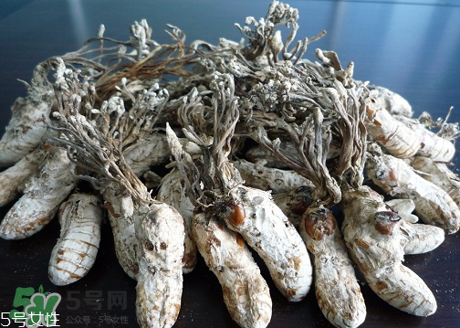 金蟬花多少錢一斤？2017金蟬花價(jià)格