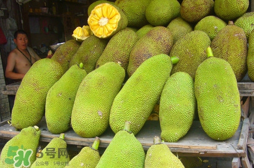 木菠蘿買來怎么吃？木菠蘿吃多了會怎樣？