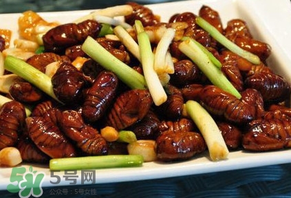 孕婦可以吃蟬蛹嗎？懷孕吃蟬蛹有沒有副作用