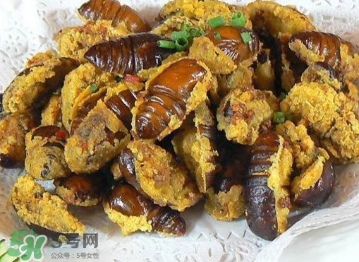 水煮蟬蛹怎么做？蟬蛹煮多久可以熟？