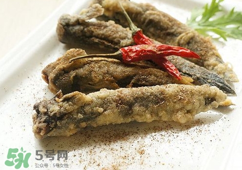 彈涂魚是兩棲動物嗎？彈涂魚營養(yǎng)價值有哪些