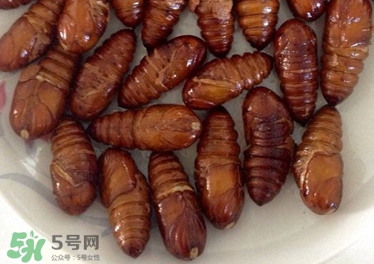 蟬蛹吃什么部位？蟬蛹都有哪些營養(yǎng)價(jià)值