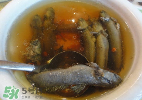 跳跳魚(yú)多少錢(qián)一斤？跳跳魚(yú)是淡水魚(yú)嗎？