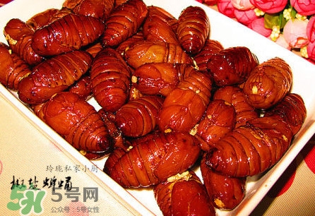 蟬蛹有寄生蟲嗎？蟬蛹有毒嗎