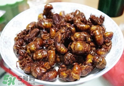 蟬蛹什么人不能吃？蟬蛹不能和什么一起吃