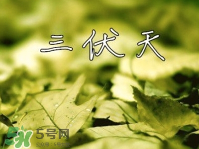 三伏天怎么坐月子？三伏天坐月子要注意什么？