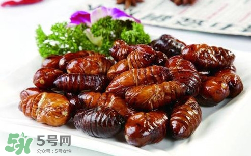 蟬蛹什么人不能吃？蟬蛹不能和什么一起吃