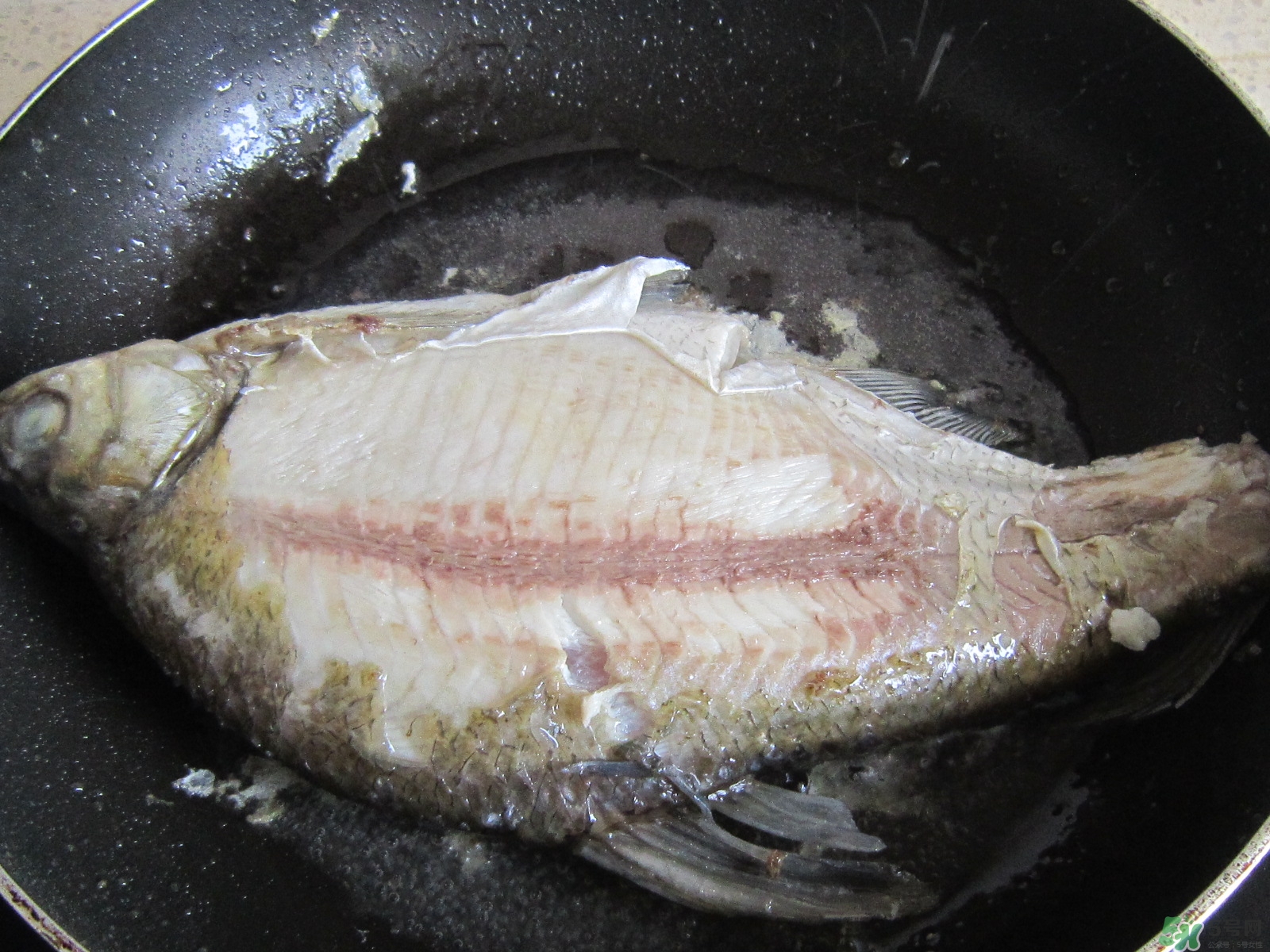 三伏灸可以吃魚嗎？三伏灸可以吃什么魚？