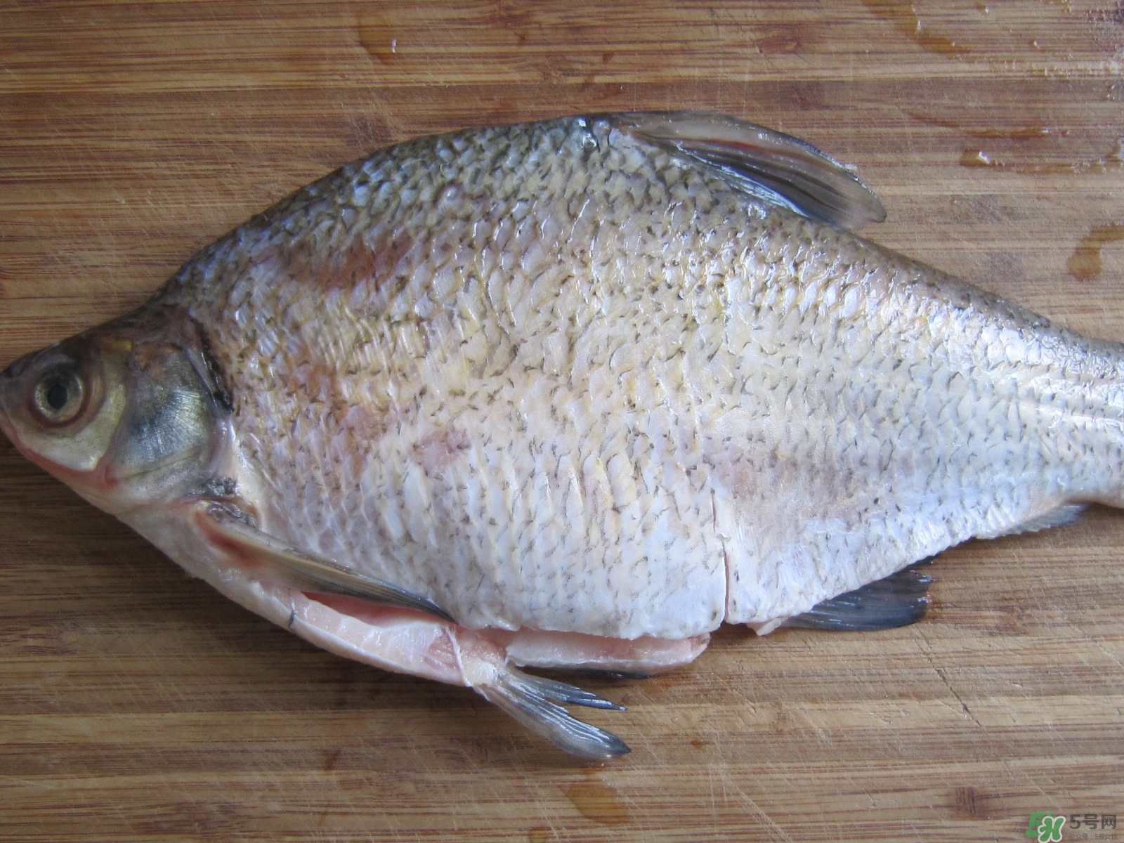 三伏灸可以吃魚嗎？三伏灸可以吃什么魚？