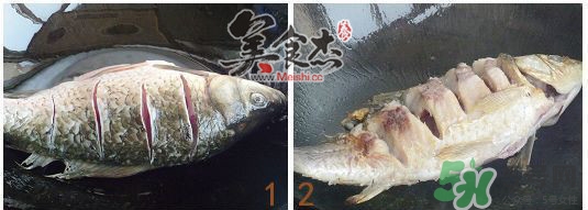 三伏灸可以吃魚嗎？三伏灸可以吃什么魚？