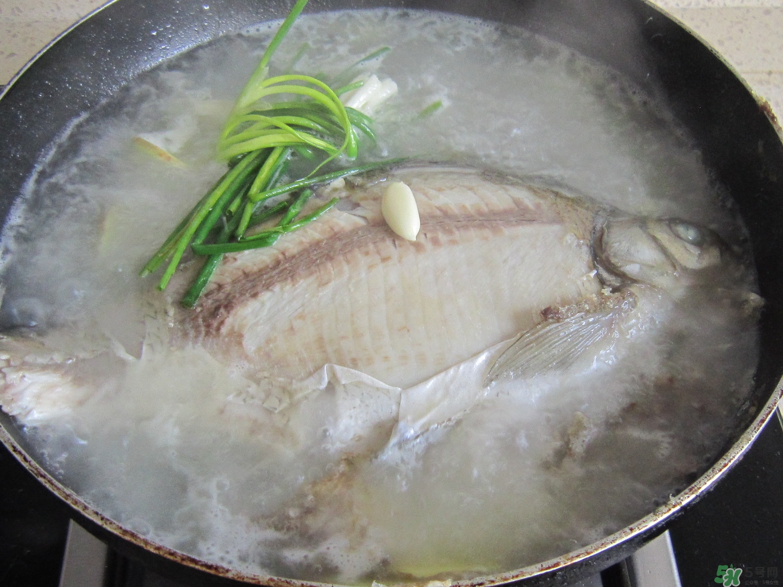 三伏灸可以吃魚嗎？三伏灸可以吃什么魚？