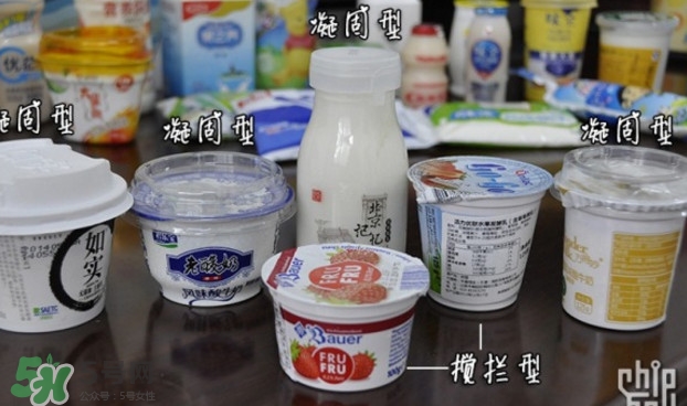 什么牌子的酸奶好？每天喝酸奶好還是純牛奶好
