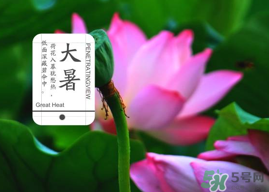 大暑和處暑是什么意思？大暑熱還是處暑熱？