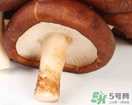 香菇是蘑菇嗎？香菇和蘑菇有什么區(qū)別