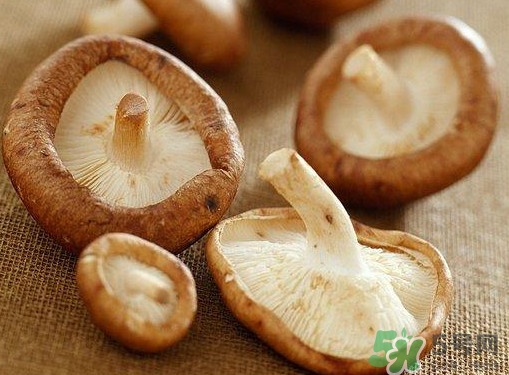 買香菇怎么挑選？干香菇怎么挑選？